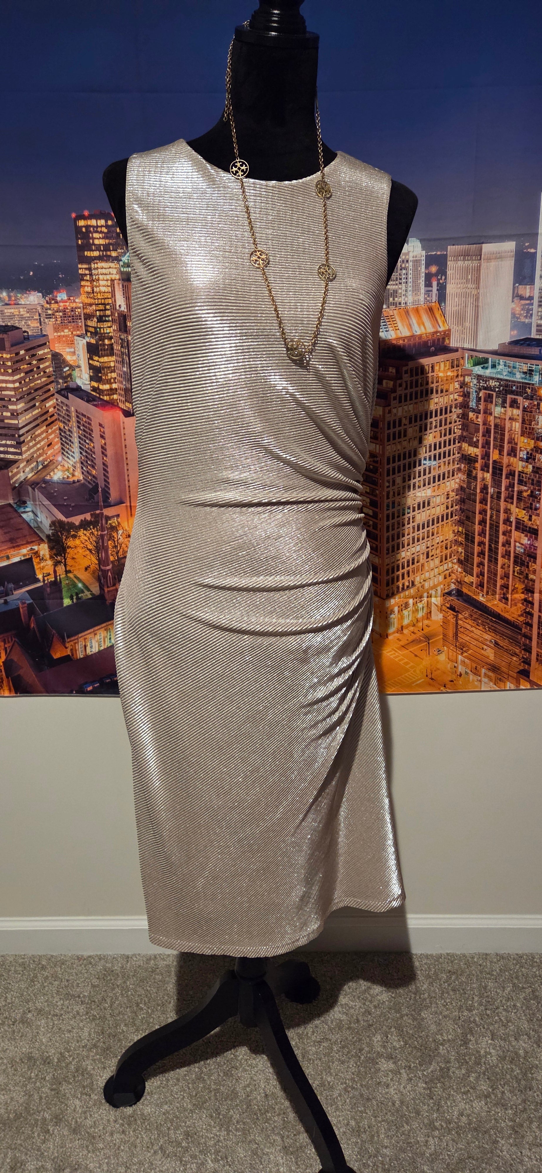 Champaign Life Dress