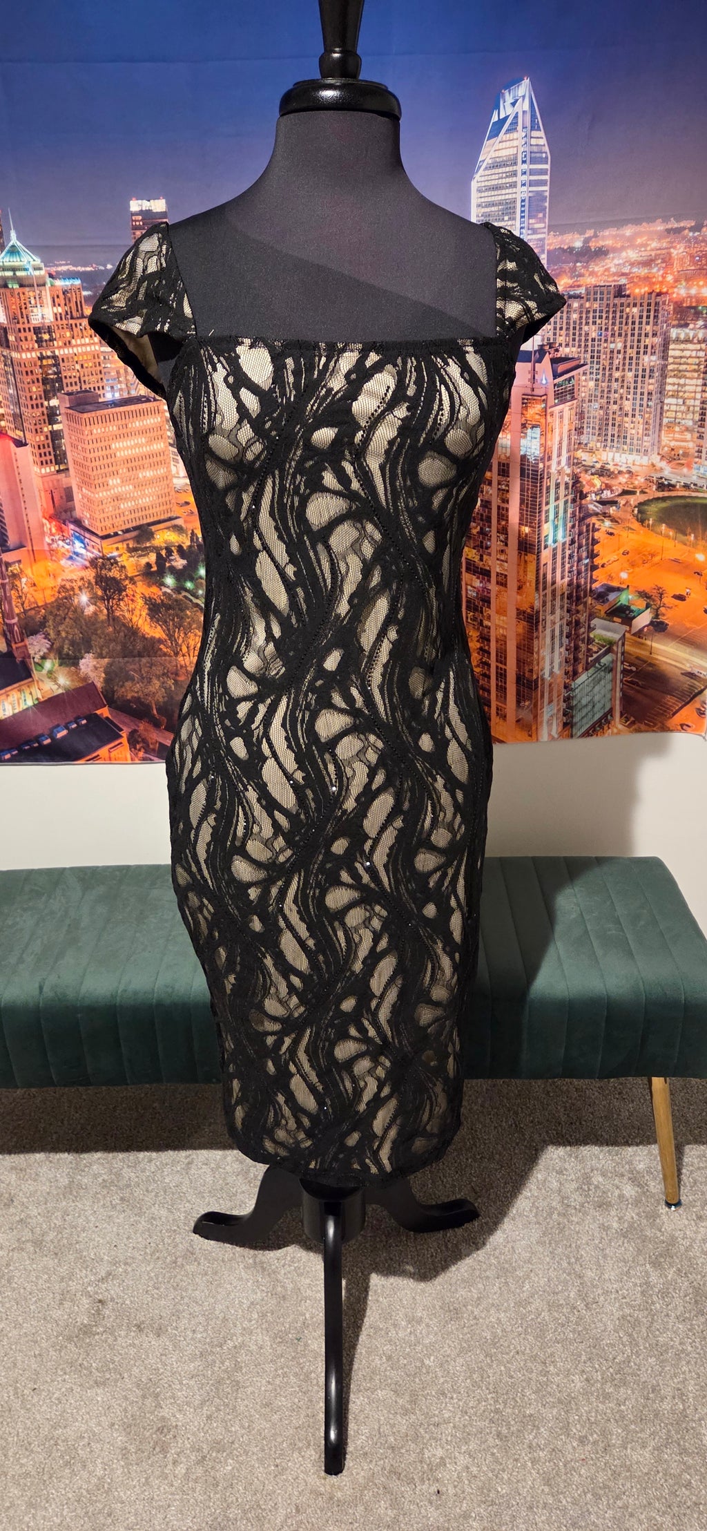 Black Beauty Dress