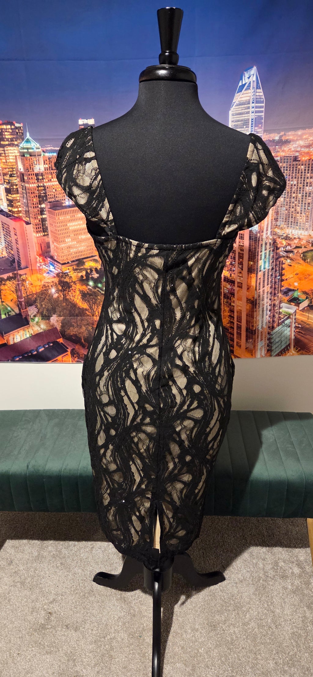 Black Beauty Dress