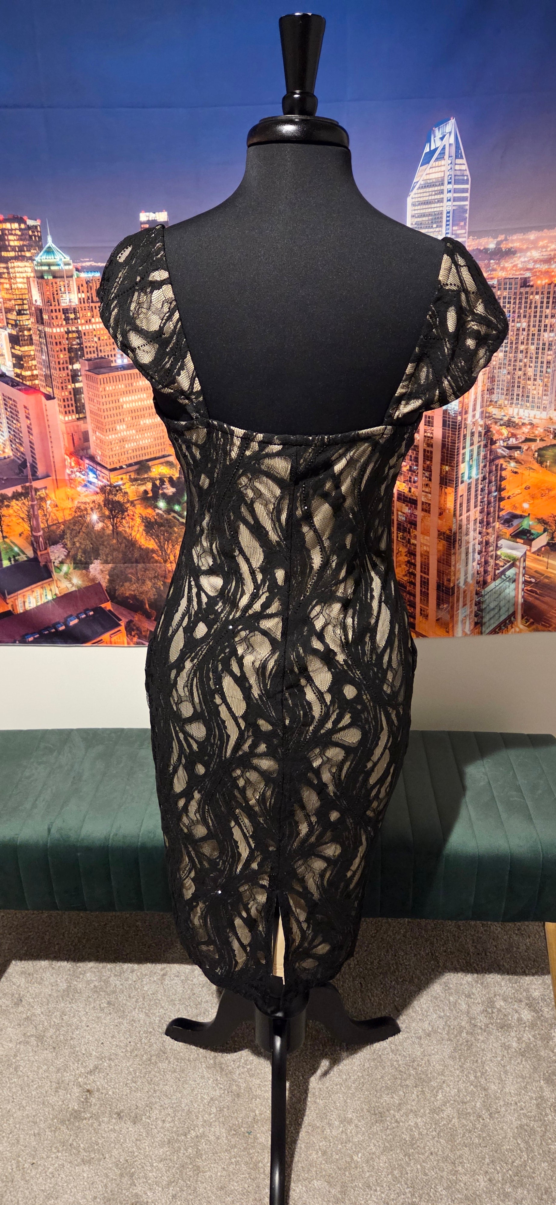 Black Beauty Dress